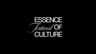 Essence Festival of Culture