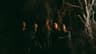 Wage War