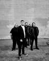 Carnifex