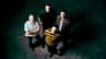 Senses Fail